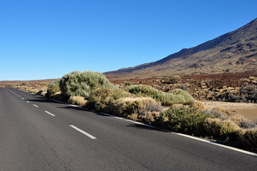 asphalt