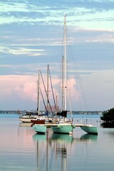 Catamaran at the Crandon Park marina