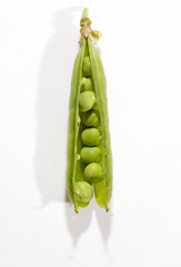 Peas in the open pod. Some of the peas are out of the pod. Image taken in a studio.