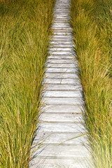 Fototapety  Drewniany chodnik z desek