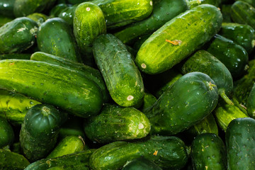 Cucumbers