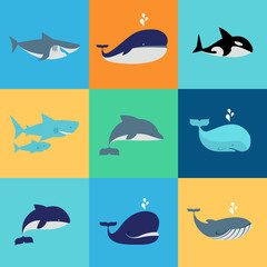 Vector set of whale, dolphin and shark icons