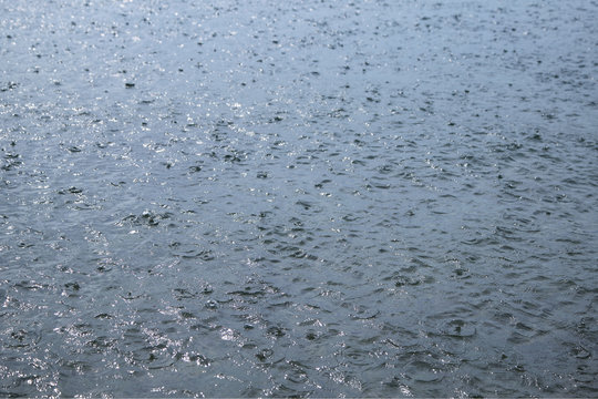 Rain drops in the water. Sea raining