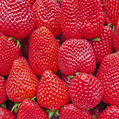 organic fresh strawberries clos up, tasty background