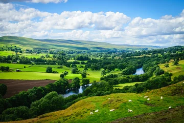 Fotobehang Chocoladebruin Meandering River making its way through lush green rural farmlan  © nuttawutnuy