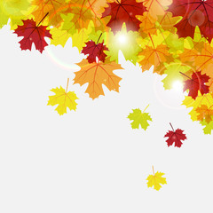 autumn background diagonal