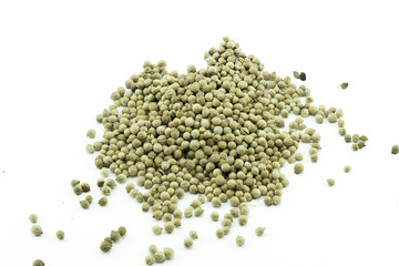 Herbs Coriander Seeds isolated.