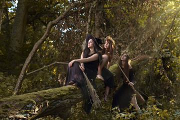 Fototapeta na wymiar witches in dark forest