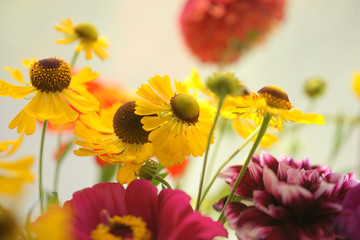 Яркий букет цветов