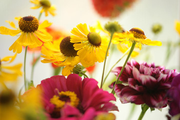 Яркий букет цветов