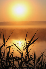 Misty morning on a small river