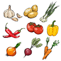 Vegetables set. Vector illustration