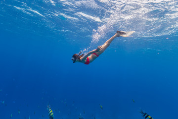 Freediver descends into Blue Water