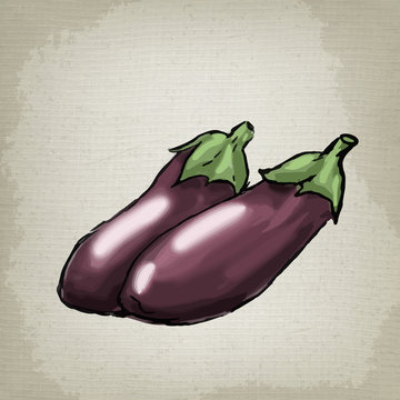 Eggplants. Vector illustration