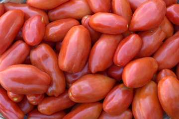 Biologico