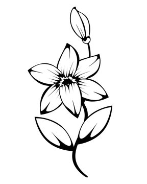 lily monochrome silhouette