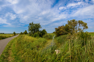 Entwässerungsgraben im Darßer Moor