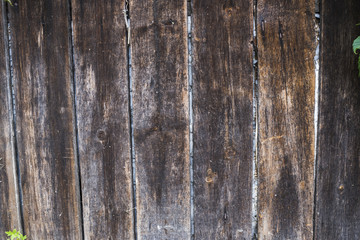 Wooden texture