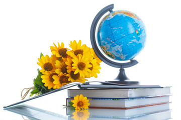 Globe with books and flowers