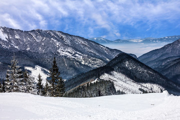 Fototapeta na wymiar Winter Tatry landscape, forest, Slovakia