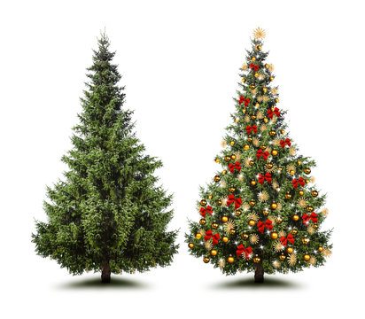 Ungeschm&uuml;ckter und geschm&uuml;ckter Weihnachtsbaum