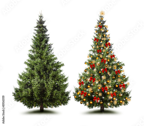 quot ungeschm 252 ckter und geschm 252 ckter weihnachtsbaum quot ungeschm 252 ckter und geschm 252 ckter weihnachtsbaum