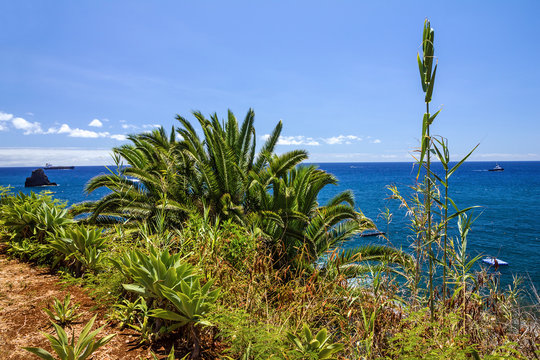 Tropical beach ocean view, Funchal, Madeira, Portugal