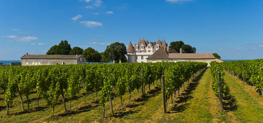 Castle Montbazillac-Vineyard of Bergerac-Dordogne-France