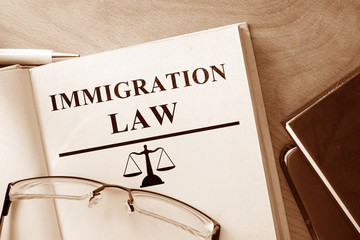 Book with words Immigration Law and glasses.