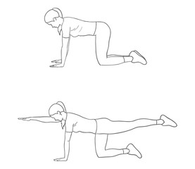 bird dog exercise