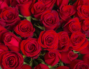 Plenty red natural roses background