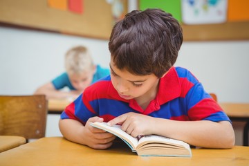 Pupil reading a school book