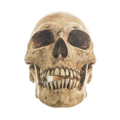 Skull and old apple on a White background