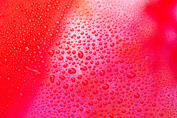Drops of water on red  floor