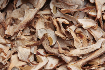 A collection of dried Porcini mushrooms