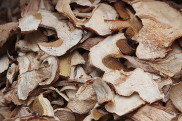 A collection of dried Porcini mushrooms