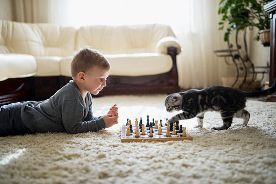 little boy plays chess lying on floor
