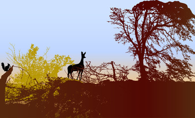 Forest landscape with doe, squirrel and silhouettes of trees and plants