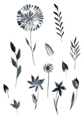 set of black watercolor floral elements