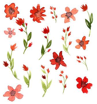 Set of watercolor drawing red flowers