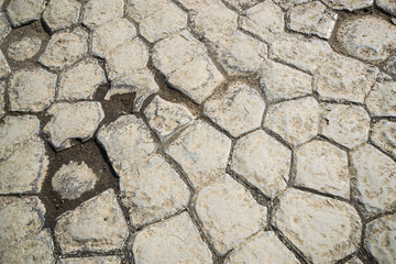 Superficie di basalti colonnari a Kirkjubaejarklaustur, Islanda