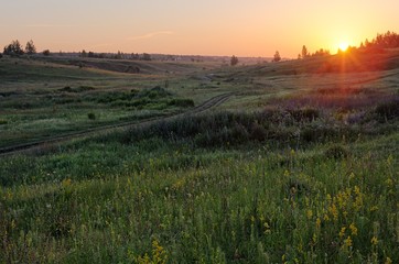 Fototapeta na wymiar Green grassy hills with small distant trees in summer sunrise