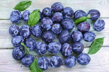 Blue plums on wooden background