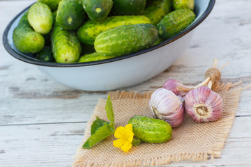 Cucumbers in metal bowl and garlic in garden on sunny day