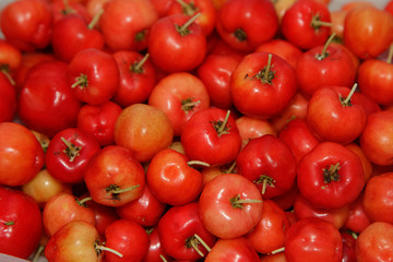 Barbados cherry (Malpighia glabra L.) ,fresh fruit background