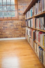 Four Shelves full of books