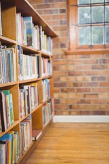 Four Shelves full of books
