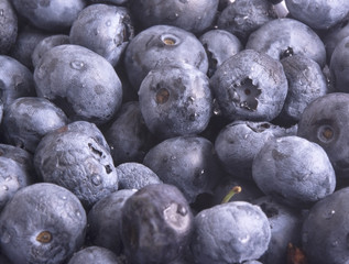 berry blueberry