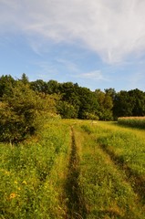 Fototapeta na wymiar Naturlandschaft im Spätsommer - Feldweg - Wiesenweg