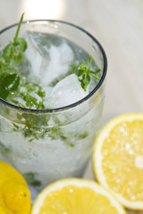 mojito with lemon